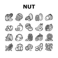 Nut Delicious Natural Nutrition Icons Set Vector