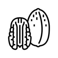 pecan nut line icon vector illustration