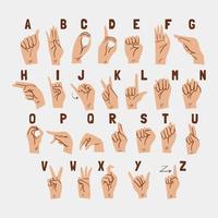 Sign Language Alphabeths vector