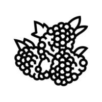 raspberry berry line icon vector illustration