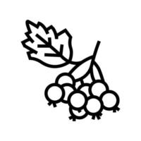 hawthorn berry line icon vector illustration