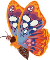 eleganta exotiska fjärilar färgglada vingar dekorativa png