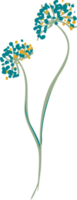 flor selvagem de prado desenhado à mão e folhas png