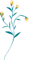 fiori e foglie di prato disegnato a mano png