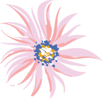 fiori e foglie di prato disegnato a mano png