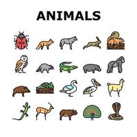 Wild Animals, Bugs And Birds Icons Set Vector