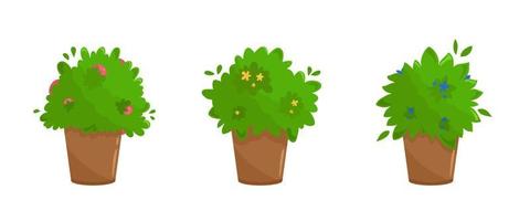 Set of three plants with berries and flowers in terracotta clay pots. Urban kitchen garden illustration. Lush green culinary herbs collection in cartoon style. Vector isolated on white