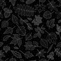 Autumn leaf seamless pattern. Black and white tree leaves print vector