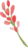 losse aquarel kleurrijke rozen en wilde bloemen boeket elementen png