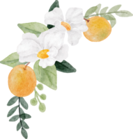 akvarell vit blomma och orange fruktbukett png