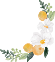 watercolor white flower and orange fruit bouquet png