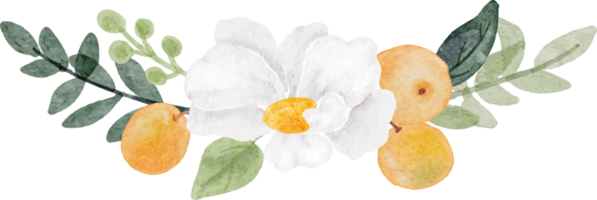 watercolor white flower and orange fruit bouquet png