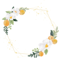 akvarell vit blomma och orange frukt krans med gyllene geometri ram png