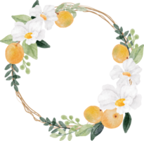 cornice ghirlanda di fiori bianchi e frutta arancione dell'acquerello