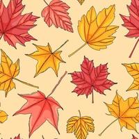 Autumn maple leaf seamless pattern. Coloured tree leaves print vector