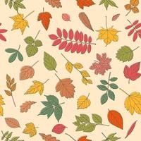 Autumn leaf seamless pattern. vector