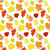 Seamless pattern of autumn leaves. Various leaves on a white background. Vector illustration.