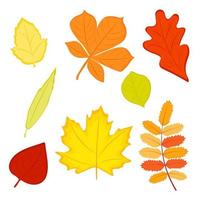 conjunto de coloridas hojas de otoño. ilustración vectorial. vector