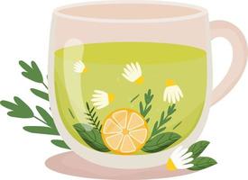 Herbal tea. Cup of tea with camomile, mint, lemon slice in transparent cup with floral decoration. Hot drink. Health care. Homeopathic treatment. Vector illustration on white background.