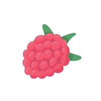 Raspberry with leaf. Illustration for printing, backgrounds, covers, packaging, greeting cards, posters, stickers, textile and seasonal design. Isolated on white background. vector