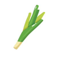 Leek Vegetable 2D Illustration png