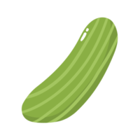 pepino vegetal 2d ilustración png