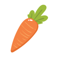 illustrazione 2d di verdure di carota png