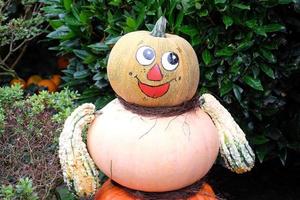 Pumpkins in the german muensterland photo