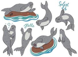 Set of cute seals isolated on white background. Vector graphics.