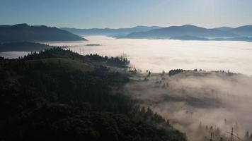 montañas de los cárpatos en ucrania cubiertas de una densa nube de niebla bajo un cielo azul video