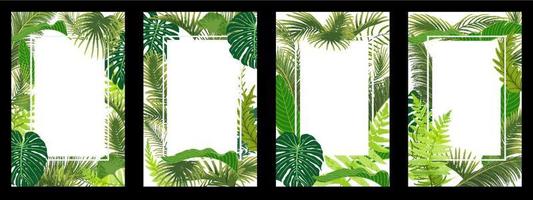 conjunto de marco con hoja tropical vector