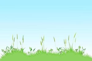 summer reeds grass background. meadow landscape. grass and sky background vector