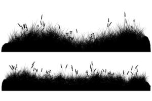 grassy field. grass background vector