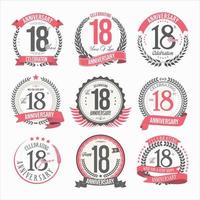 Collection of anniversary badges and labels retro design vector