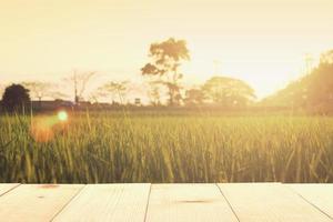 wooden table and meadows at sunrise summer photo