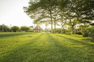 césped y parque público al amanecer. foto