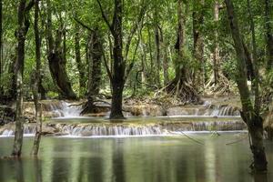 limestone waterfall at the rainforest photo