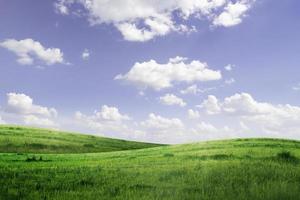 green grass and blue sky background photo