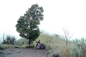 Mountain climber rests beside a tree while drinking photo