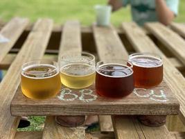 Beer tasting paddle photo