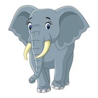 Cartoon funny elephant vector