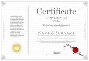 Certificate or diploma modern design template vector