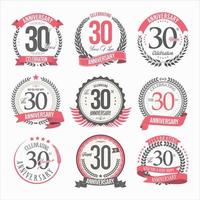 Collection of anniversary badges and labels retro design vector