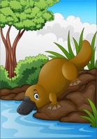 Cartoon platypus in forest creek vector