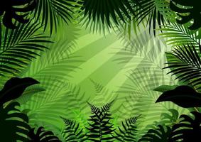 Tropical forest background vector