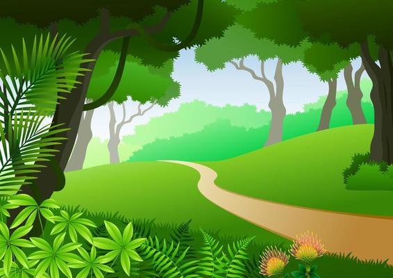 Tropical forest background