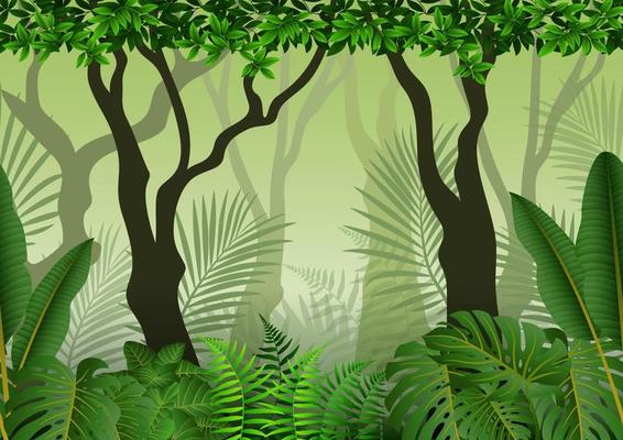 Tropical forest background