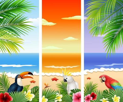 Set of Three tropical beach background