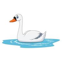 cisne de belleza de dibujos animados flota en el agua vector
