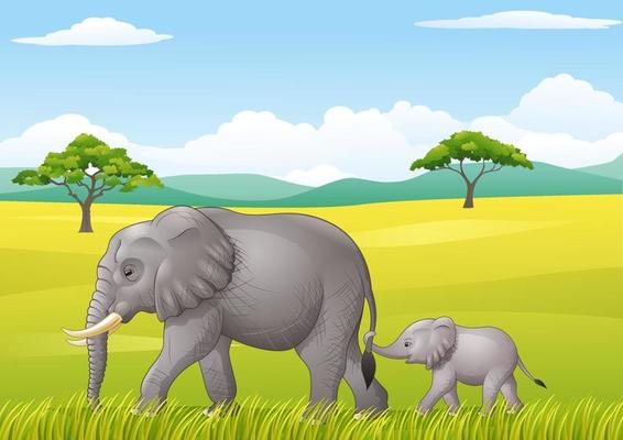 Cartoon funny two elephants in the jungle